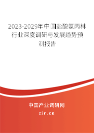 2023-2029年中國鹽酸氨丙林行業(yè)深度調(diào)研與發(fā)展趨勢預測報告