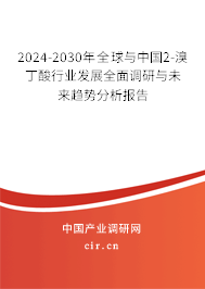 2024-2030年全球與中國2-溴丁酸行業(yè)發(fā)展全面調研與未來趨勢分析報告