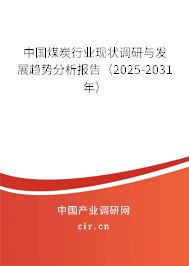 中國煤炭行業(yè)現(xiàn)狀調(diào)研與發(fā)展趨勢分析報告（2025-2031年）