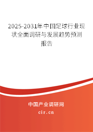 2025-2031年中國足球行業(yè)現(xiàn)狀全面調(diào)研與發(fā)展趨勢預(yù)測報(bào)告