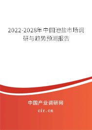 2022-2028年中國池鹽市場調(diào)研與趨勢預(yù)測報告