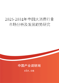 2025-2031年中國大消費行業(yè)市場分析及發(fā)展趨勢研究