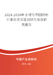 2024-2030年全球與中國硅粉行業(yè)現(xiàn)狀深度調研與發(fā)展趨勢報告