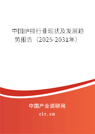 中國爐排行業(yè)現(xiàn)狀及發(fā)展趨勢報告（2025-2031年）