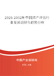 2026-2032年中國資產(chǎn)評估行業(yè)發(fā)展調(diào)研與趨勢分析