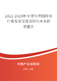 2022-2028年全球與中國排母行業(yè)發(fā)展深度調研與未來趨勢報告