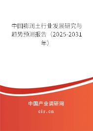 中國膨潤土行業(yè)發(fā)展研究與趨勢預(yù)測報告（2025-2031年）