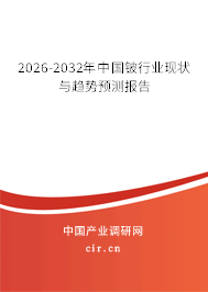 2026-2032年中國鈹行業(yè)現(xiàn)狀與趨勢預(yù)測報告