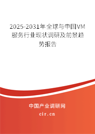 2025-2031年全球與中國VM服務(wù)行業(yè)現(xiàn)狀調(diào)研及前景趨勢報告
