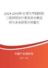 2024-2030年全球與中國磷酸二酯磷酸鹽行業(yè)發(fā)展全面調(diào)研與未來趨勢(shì)分析報(bào)告