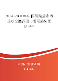 2024-2030年中國磷酸鹽市場(chǎng)現(xiàn)狀全面調(diào)研與發(fā)展趨勢(shì)預(yù)測(cè)報(bào)告