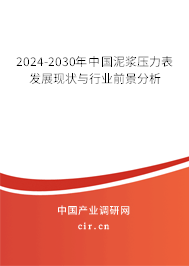 2024-2030年中國泥漿壓力表發(fā)展現(xiàn)狀與行業(yè)前景分析 2024-2030年中國泥漿壓力表發(fā)展現(xiàn)狀與行業(yè)前景分析