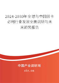 2024-2030年全球與中國(guó)普卡必利行業(yè)發(fā)展全面調(diào)研與未來(lái)趨勢(shì)報(bào)告