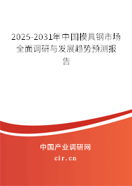 2025-2031年中國模具鋼市場全面調(diào)研與發(fā)展趨勢預(yù)測報告