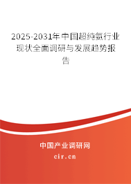 2025-2031年中國超純氨行業(yè)現(xiàn)狀全面調研與發(fā)展趨勢報告