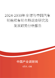 2024-2030年全球與中國汽車輪胎和車輪市場調(diào)查研究及發(fā)展趨勢分析報(bào)告