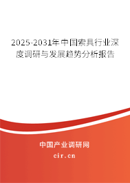 2025-2031年中國索具行業(yè)深度調(diào)研與發(fā)展趨勢分析報告