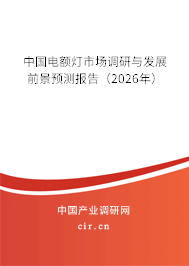 中國電額燈市場調(diào)研與發(fā)展前景預(yù)測報告（2026年）