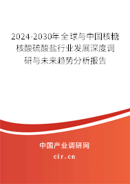 2024-2030年全球與中國核糖核酸硫酸鹽行業(yè)發(fā)展深度調(diào)研與未來趨勢分析報告