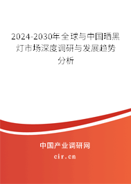 2024-2030年全球與中國曬黑燈市場深度調研與發(fā)展趨勢分析