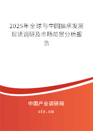 2025年全球與中國(guó)抽承發(fā)展現(xiàn)狀調(diào)研及市場(chǎng)前景分析報(bào)告