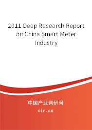 2011 Deep Research Report on China Smart Meter Industry 2011 Deep Research Report on China Smart Meter Industry
