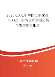 2025-2031年中國二氧化硅（SiO2）市場現(xiàn)狀調(diào)研分析與發(fā)展前景報告