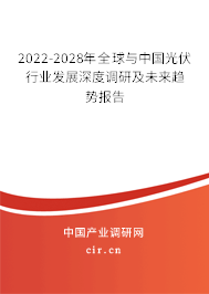 2022-2028年全球與中國(guó)光伏行業(yè)發(fā)展深度調(diào)研及未來趨勢(shì)報(bào)告