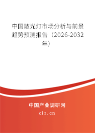 中國散光燈市場分析與前景趨勢預(yù)測報(bào)告（2026-2032年）