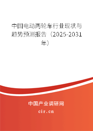 中國電動兩輪車行業(yè)現(xiàn)狀與趨勢預(yù)測報(bào)告（2024-2030年）
