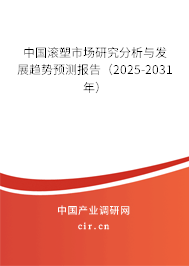 中國滾塑市場研究分析與發(fā)展趨勢預測報告（2025-2031年）