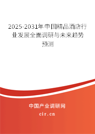 2025-2031年中國精品酒店行業(yè)發(fā)展全面調(diào)研與未來趨勢預(yù)測