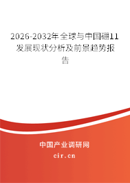 2026-2032年全球與中國硼11發(fā)展現(xiàn)狀分析及前景趨勢報(bào)告