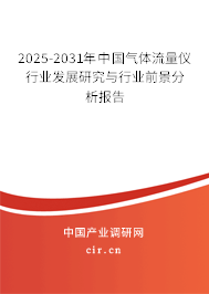 2025-2031年中國氣體流量儀行業(yè)發(fā)展研究與行業(yè)前景分析報告