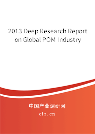 2013 Deep Research Report on Global POM Industry 2013 Deep Research Report on Global POM Industry