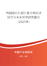 中國婚紗禮服行業(yè)市場現(xiàn)狀研究與未來前景趨勢報告（2025年）