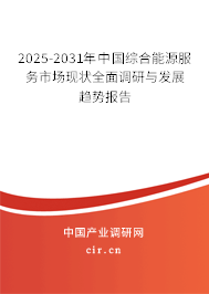 2025-2031年中國(guó)綜合能源服務(wù)市場(chǎng)現(xiàn)狀全面調(diào)研與發(fā)展趨勢(shì)報(bào)告