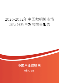 2026-2032年中國敷銅板市場現(xiàn)狀分析與發(fā)展前景報告