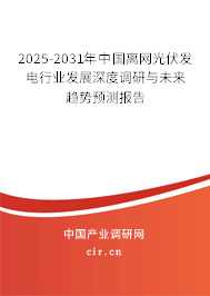 2025-2031年中國離網(wǎng)光伏發(fā)電行業(yè)發(fā)展深度調(diào)研與未來趨勢預(yù)測報(bào)告