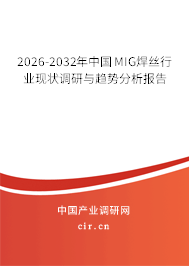 2024-2030年中國(guó)MIG焊絲行業(yè)現(xiàn)狀調(diào)研與趨勢(shì)分析報(bào)告