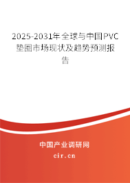 2025-2031年全球與中國PVC墊圈市場現(xiàn)狀及趨勢預測報告