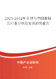 2025-2031年全球與中國曲軸瓦行業(yè)分析及發(fā)展趨勢報告