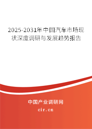 2025-2031年中國汽車市場現(xiàn)狀深度調(diào)研與發(fā)展趨勢報告