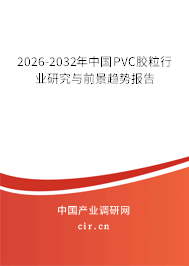 2026-2032年中國PVC膠粒行業(yè)研究與前景趨勢報告