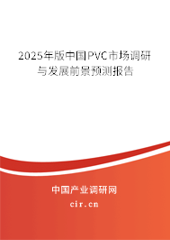 2025年版中國PVC市場(chǎng)調(diào)研與發(fā)展前景預(yù)測(cè)報(bào)告