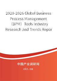 2020-2026 Global Business Process Management（BPM）Tools Industry Research and Trends Report