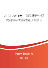 2025-2031年中國(guó)民爆行業(yè)深度調(diào)研與發(fā)展趨勢(shì)預(yù)測(cè)報(bào)告