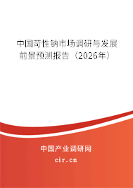 中國苛性鈉市場調(diào)研與發(fā)展前景預(yù)測報(bào)告（2026年）