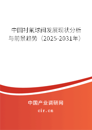 中國襯氟球閥發(fā)展現(xiàn)狀分析與前景趨勢（2025-2031年）