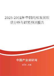 2025-2031年中國肉松發(fā)展現(xiàn)狀分析與趨勢預(yù)測報告